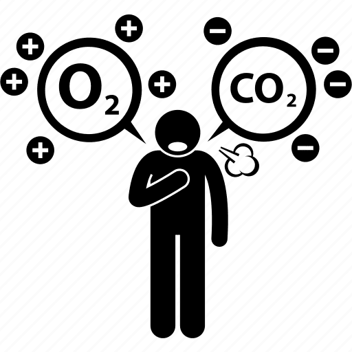 oxygen breathing vs co2