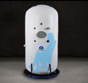 summit to sea vertical chamber