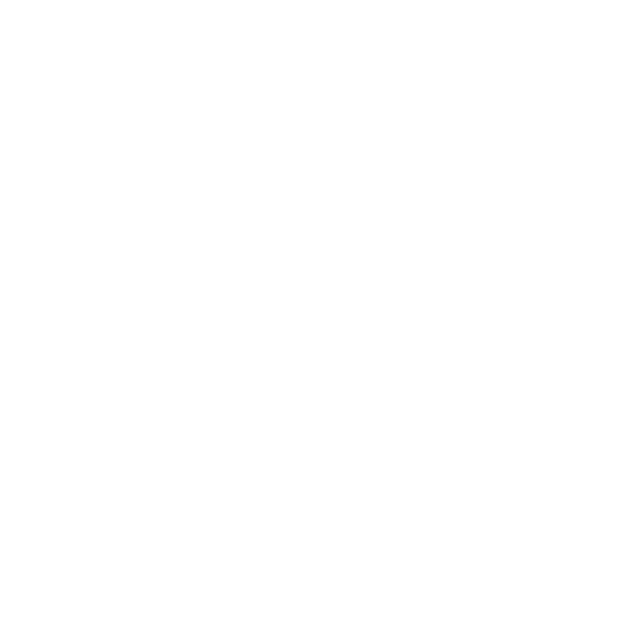 Made in USA Icon