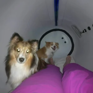 newtowne-hyperbaric-chamber-white-dogs-interior